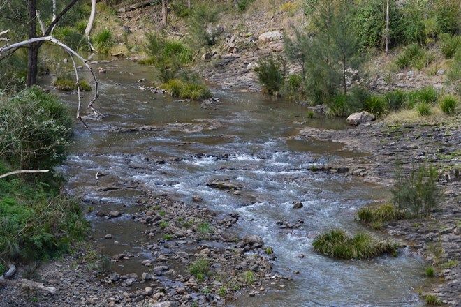 Picture of Lot 165 Condamine River Road, THE FALLS QLD 4373