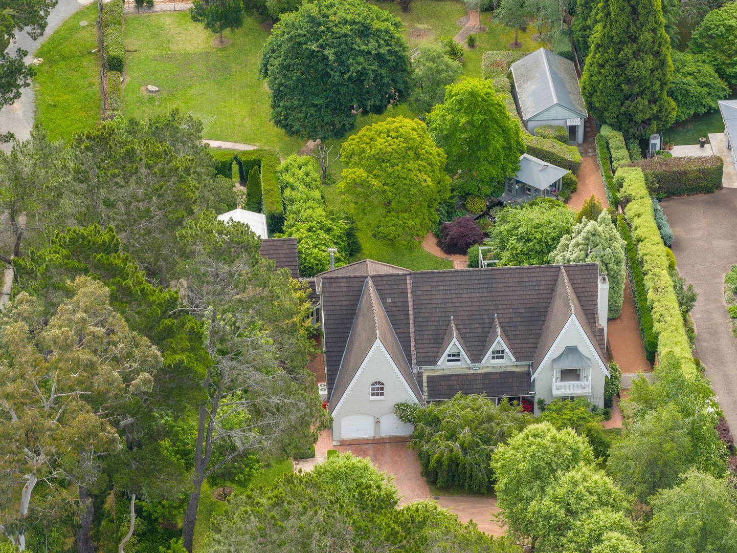Image 15