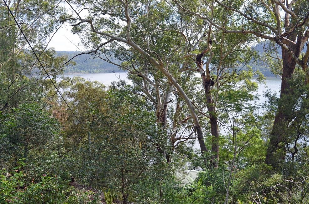 26A Riverview Avenue, Dangar Island Property History & Address