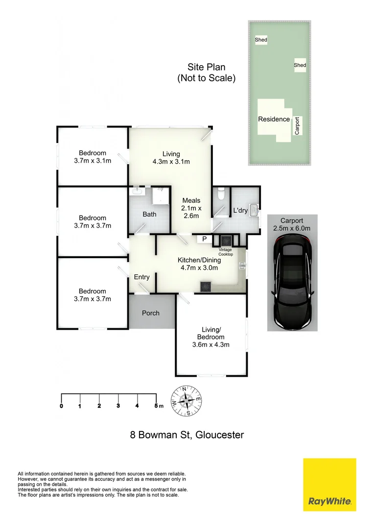 Image 11