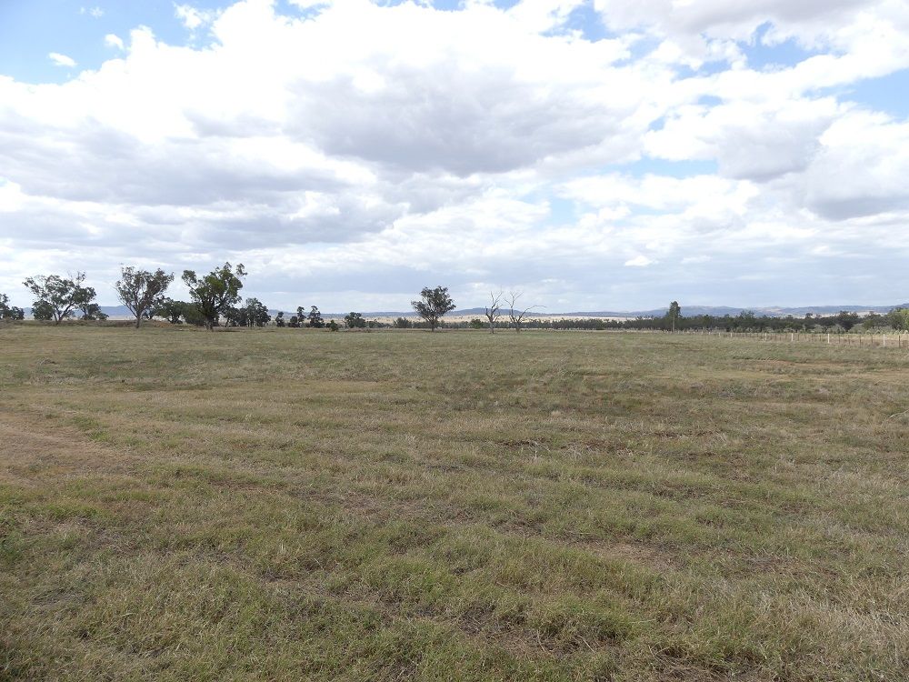 2363 Oxley Hwy, Tamworth NSW 2340, Image 1