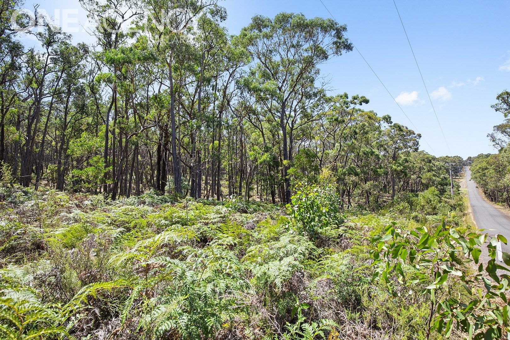 Lot 7 Woodland Drive, Scarsdale VIC 3351, Image 1