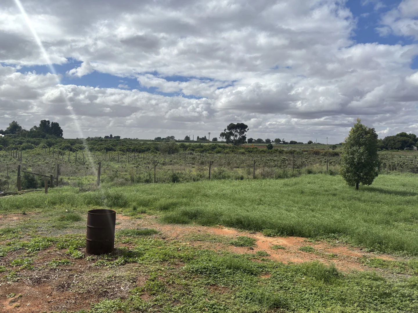 Additional image 13 of 13 School Road, Coomealla NSW 2717