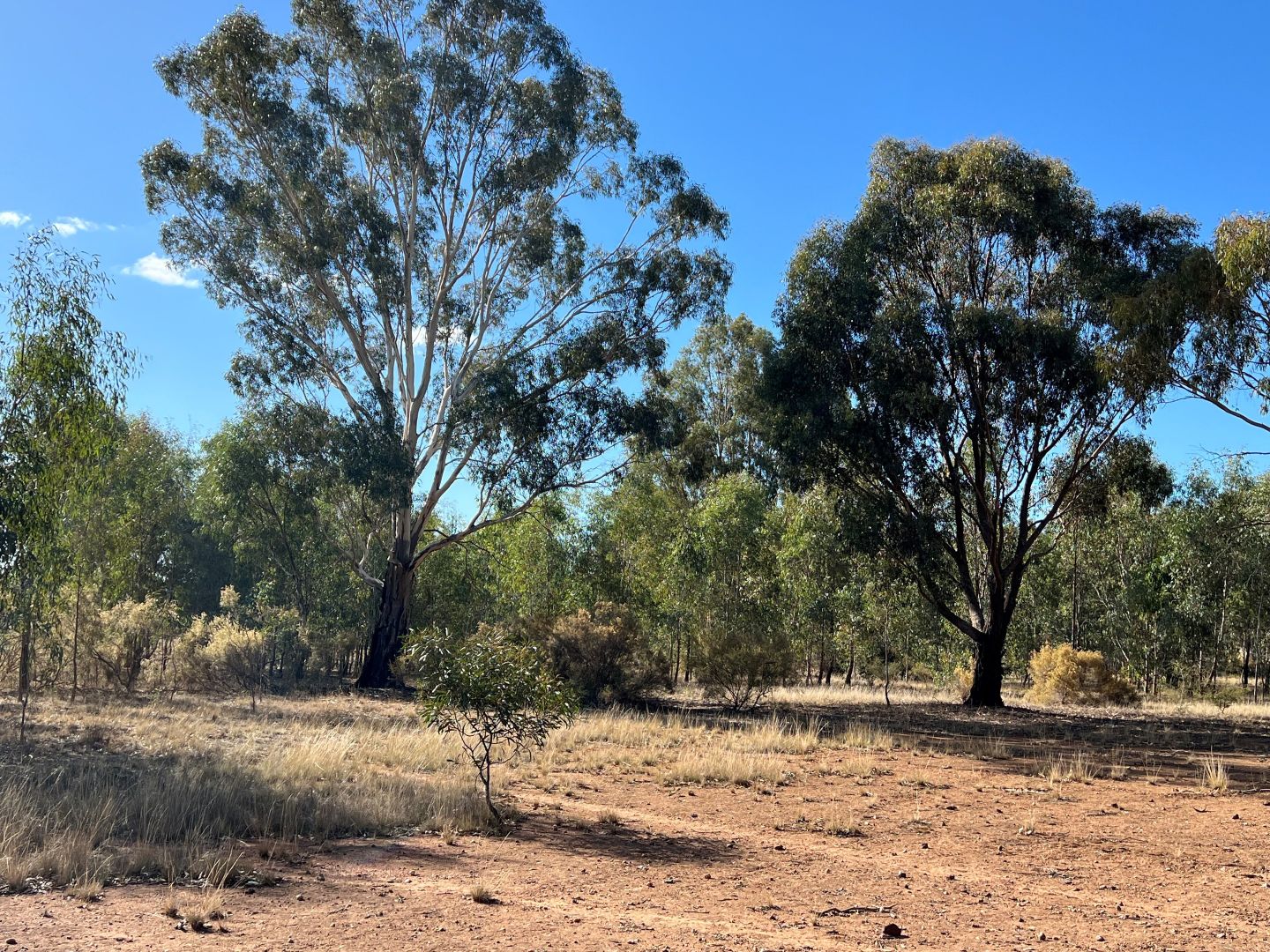 41 Calder Highway, Wedderburn VIC 3518 Vacant Land for Sale 210,000