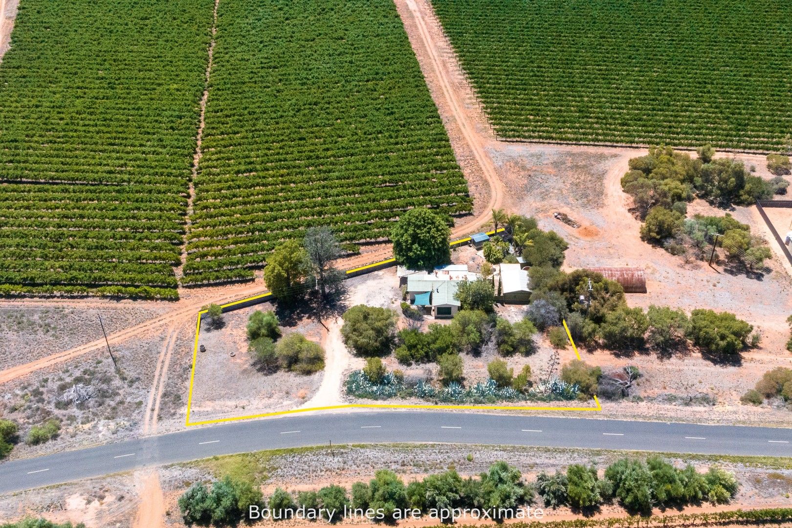 49 Gordon Road, Loxton SA 5333, Image 0