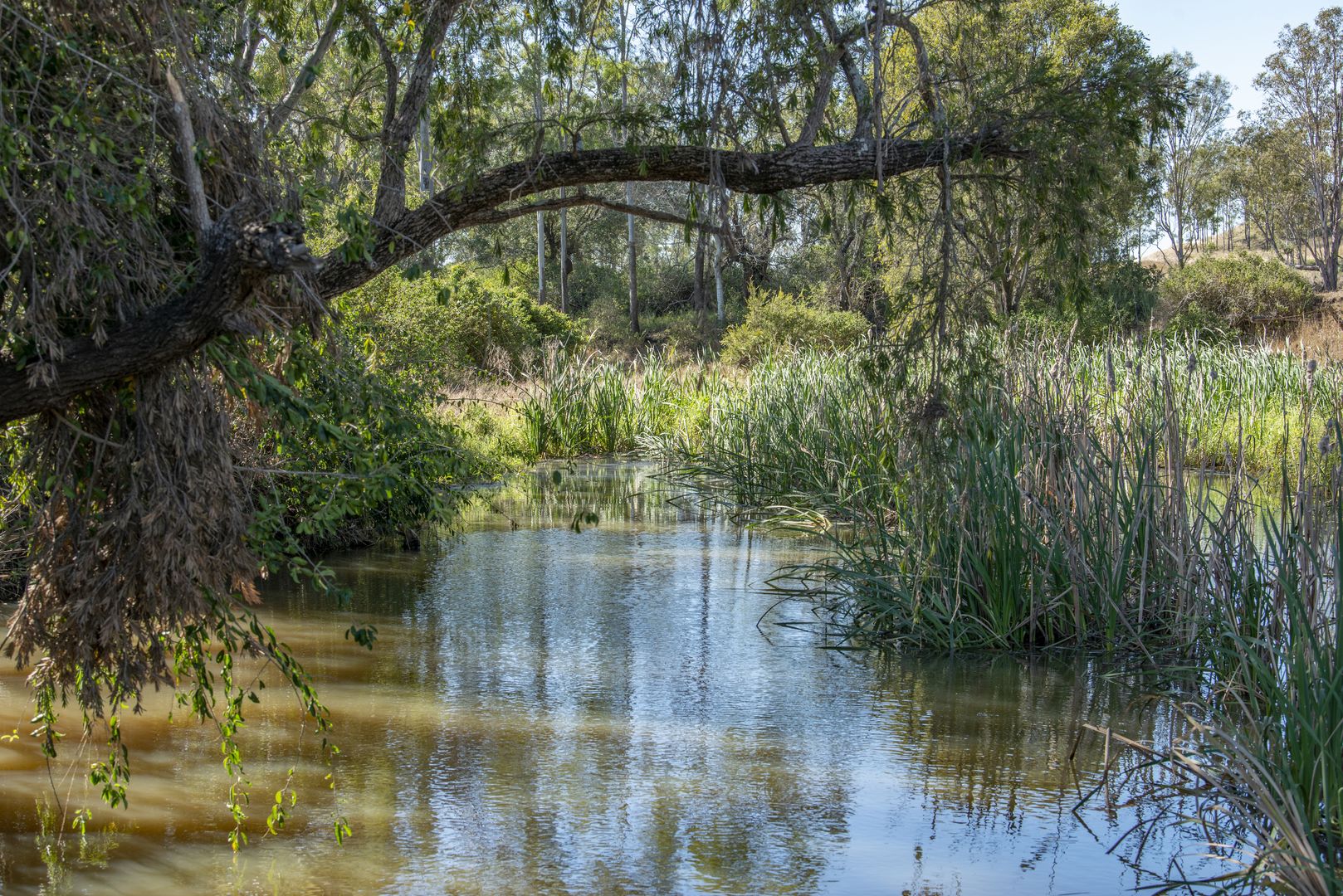 19 Frazerview Road, Aratula QLD 4309, Image 2