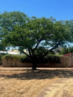 12 Gamenya Avenue, Merredin WA 6415