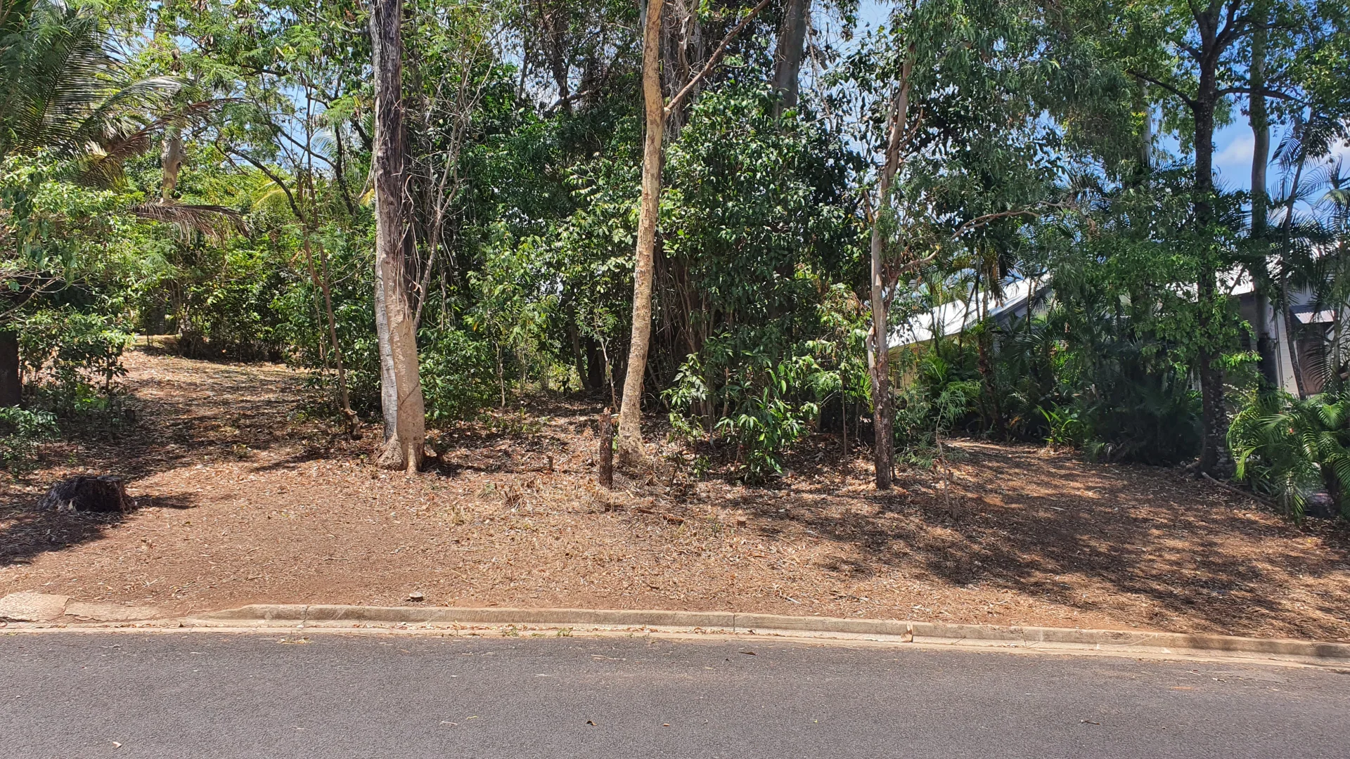 Image 14