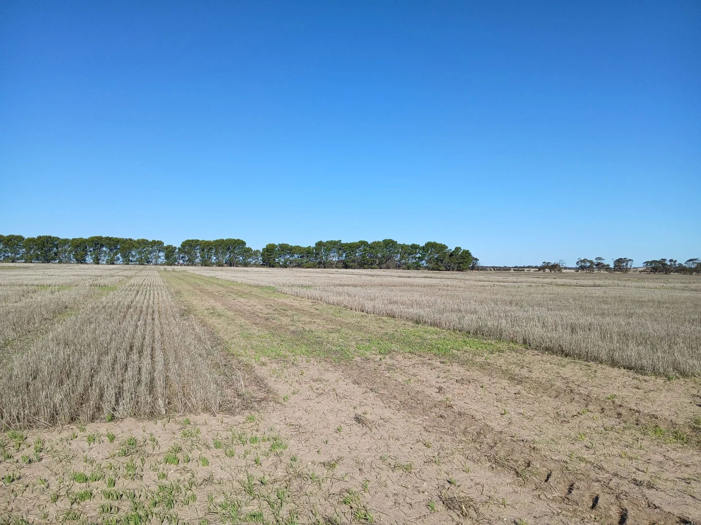 Image 15