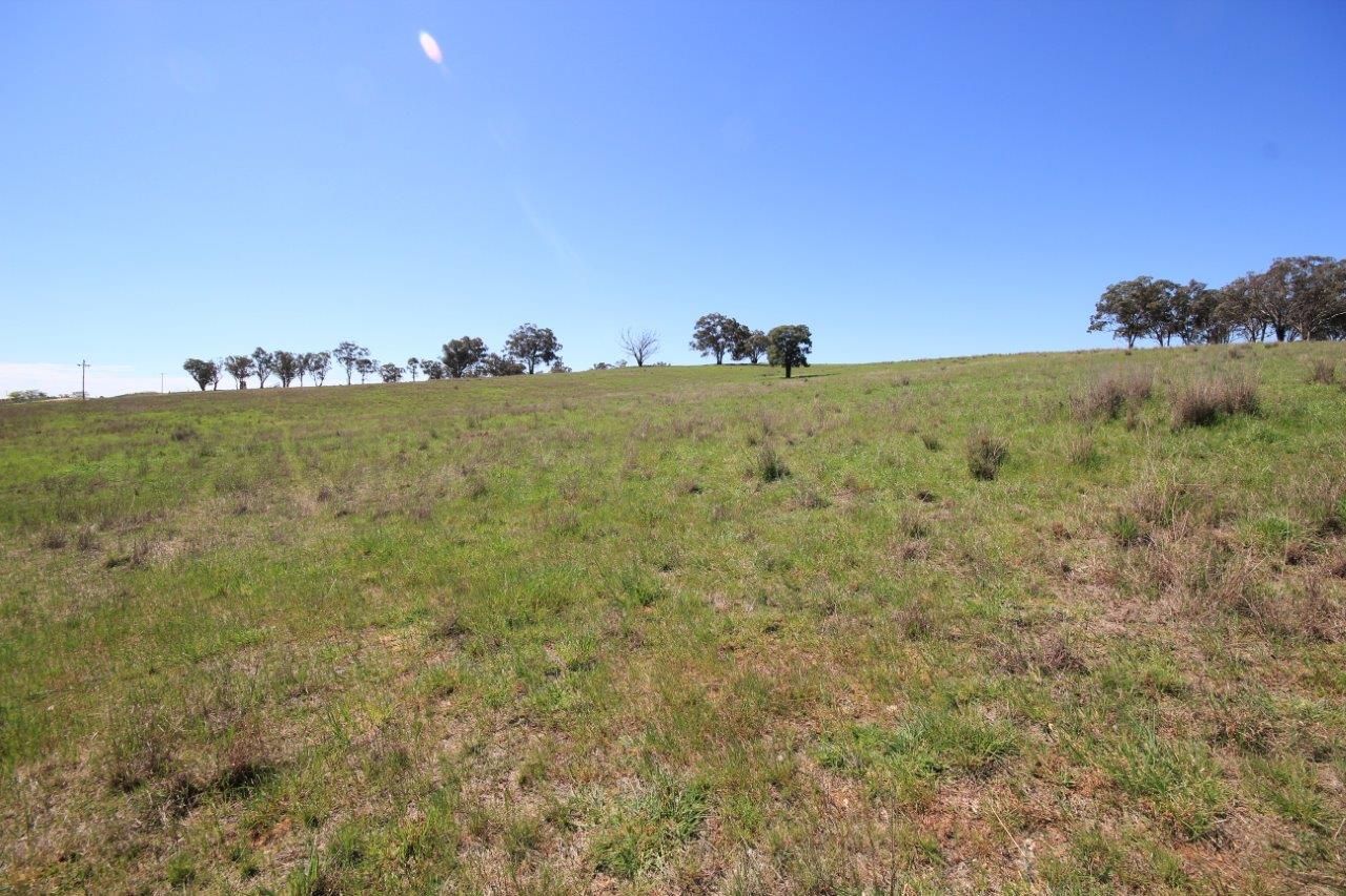 7 Hill View Estate, Gulgong NSW 2852, Image 2