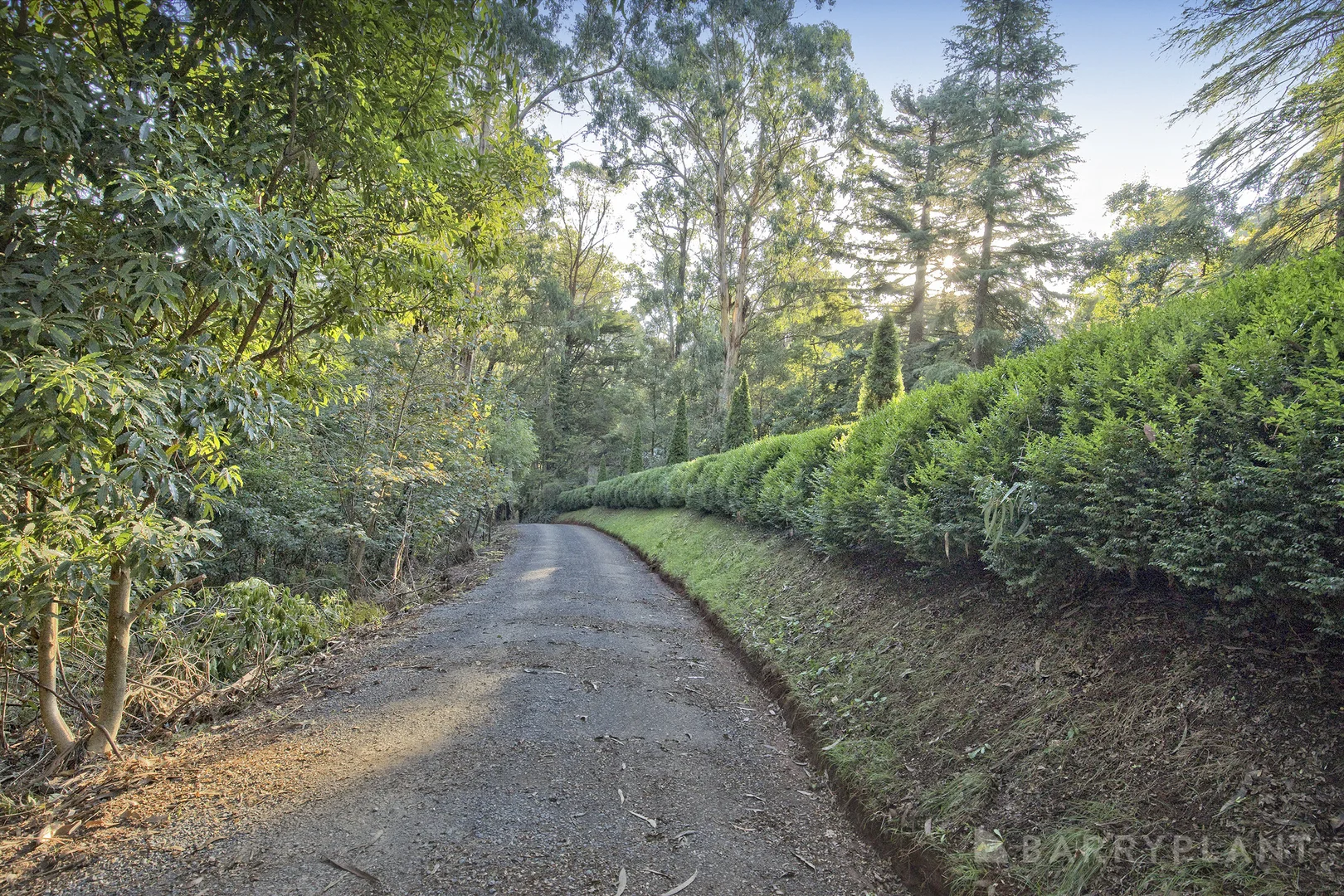 Image 14