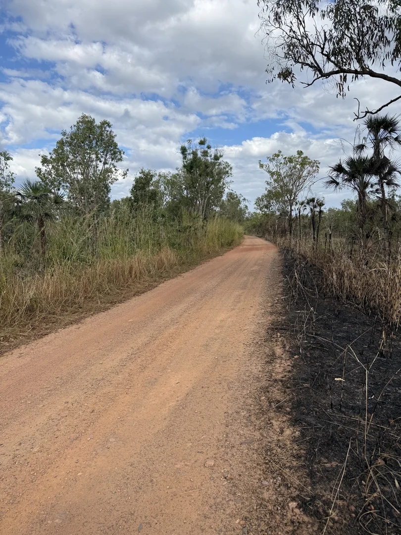 Image 12