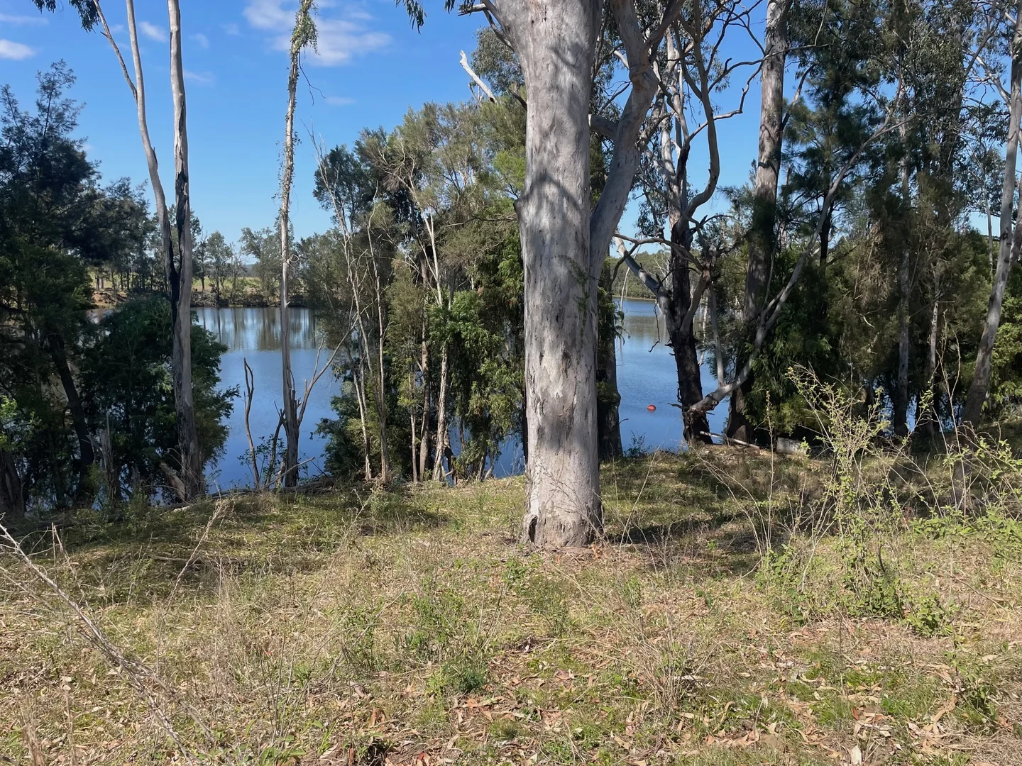 Image 16