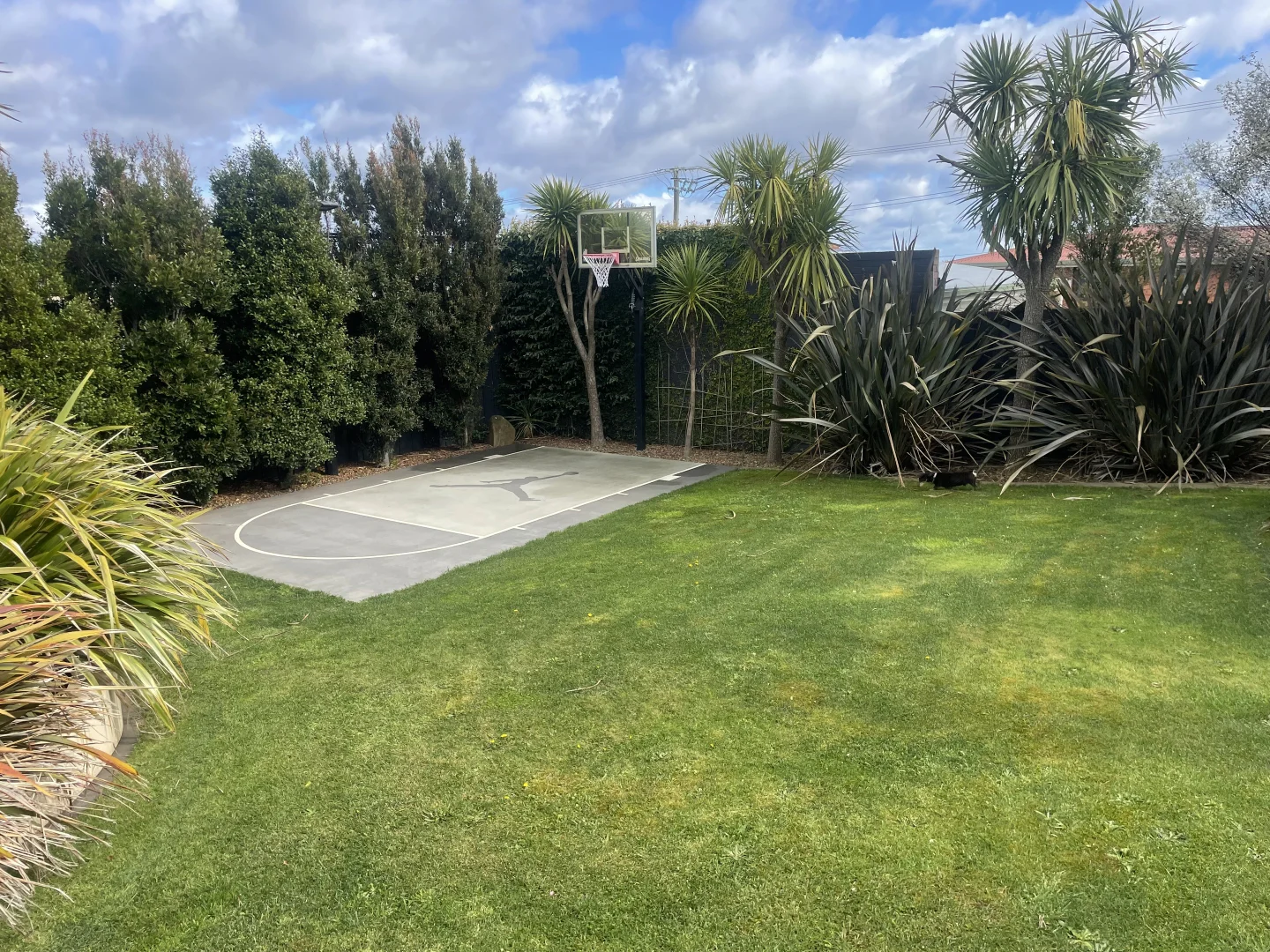 Image 15