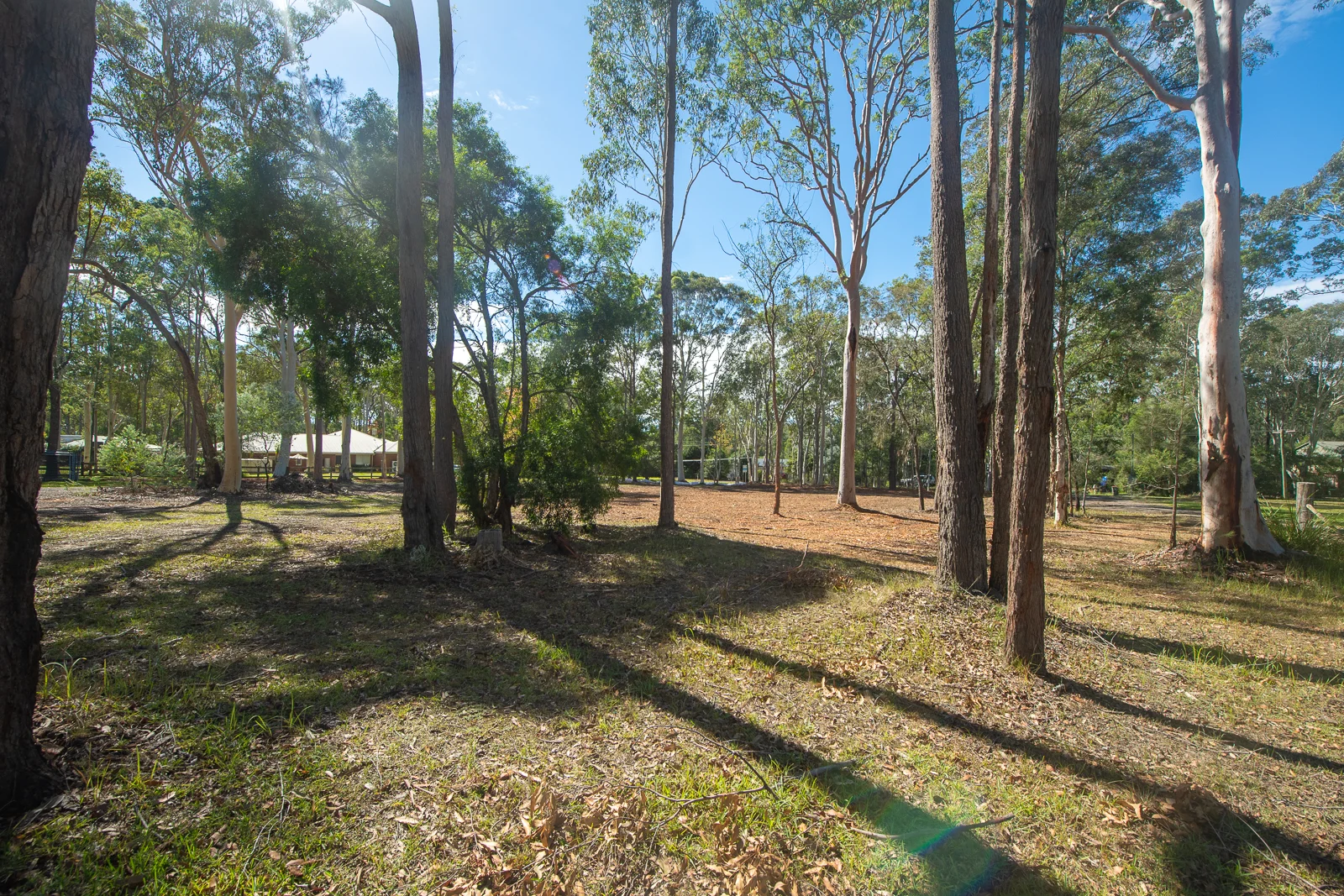 Additional image 12 of Lot 101, 49 Kula Rd, Medowie NSW 2318