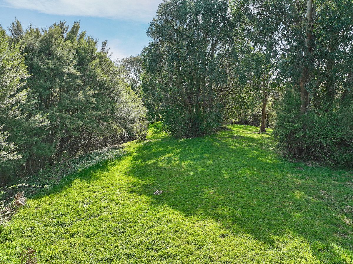 170 Blue Johanna Road, Johanna VIC 3238, Image 2