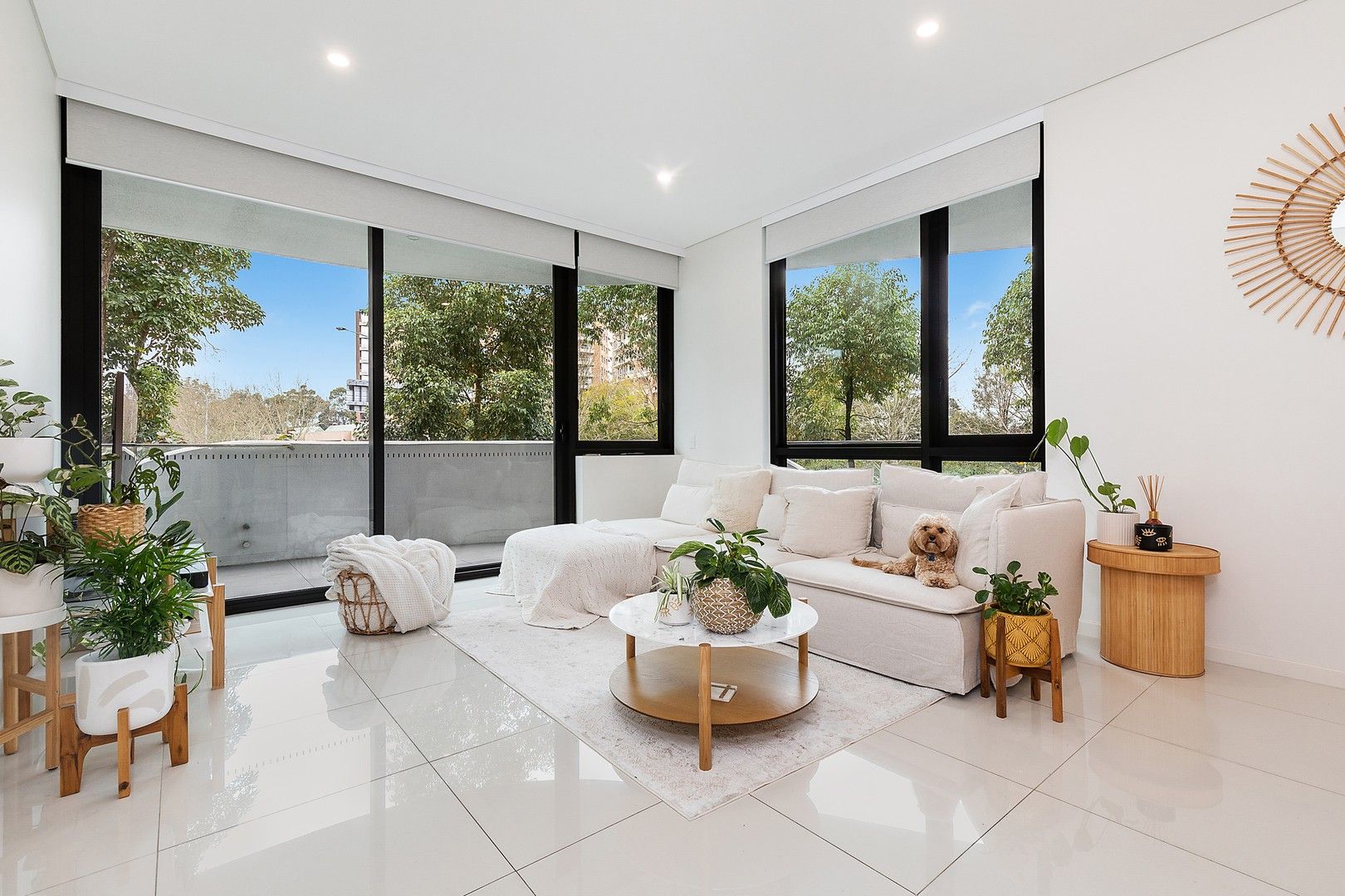 204/2 Burley Street, Lane Cove NSW 2066 Domain