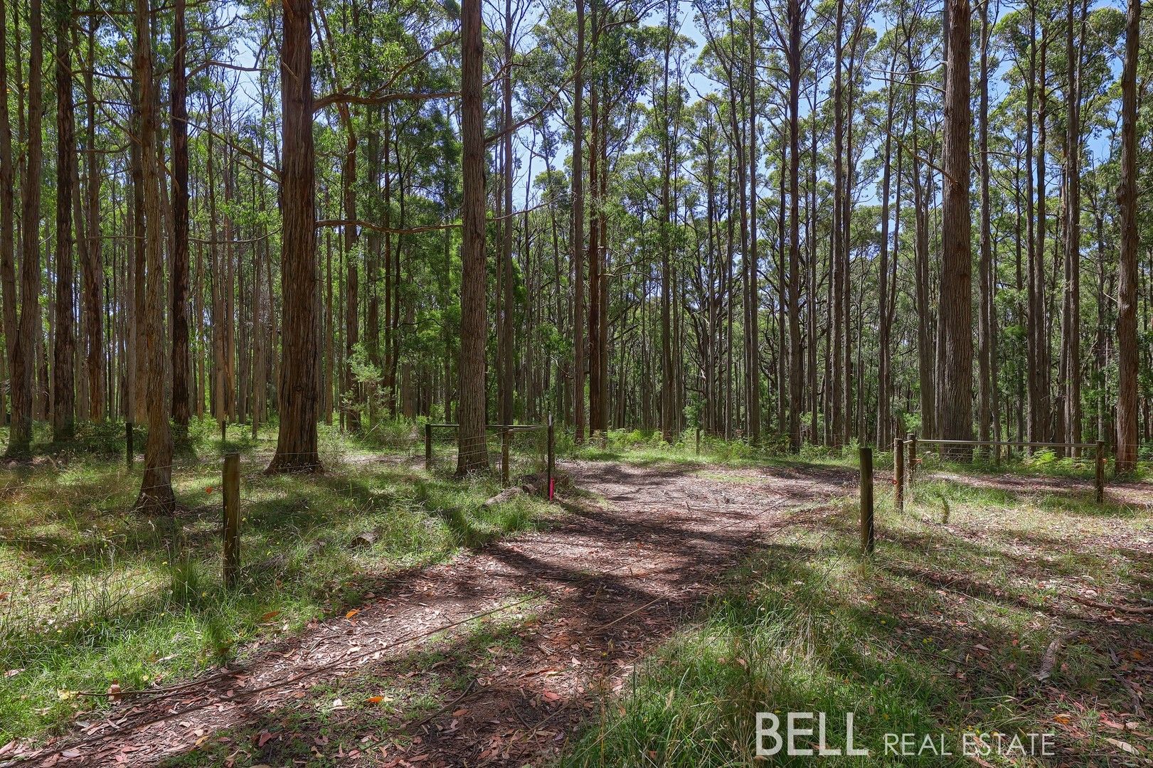 lot 1/25 Boyd Road, Gembrook VIC 3783, Image 0