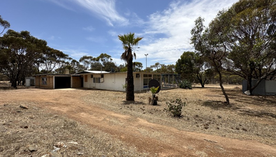 Picture of 3359 Broomehill-Gnowangerup Road, GNOWANGERUP WA 6335