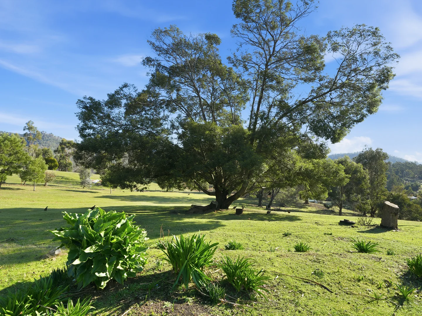Image 18