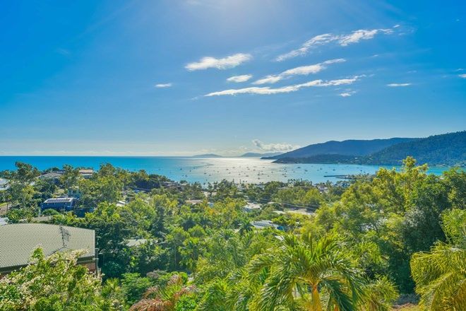 Picture of 7/2 Nara Avenue, AIRLIE BEACH QLD 4802