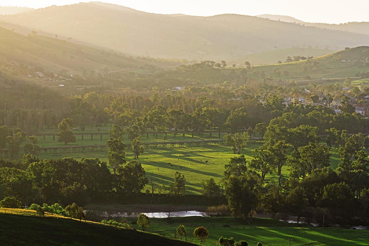 Lot 4 Springfield Land, Gundagai NSW 2722, Image 0