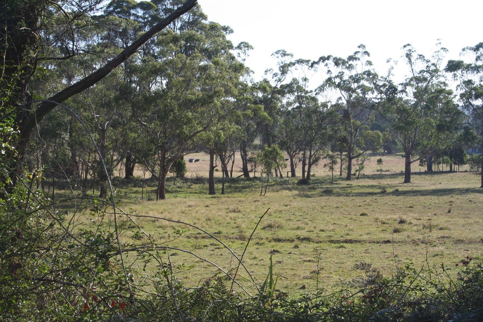 1 Blencowes Lane, Wildes Meadow NSW 2577, Image 2