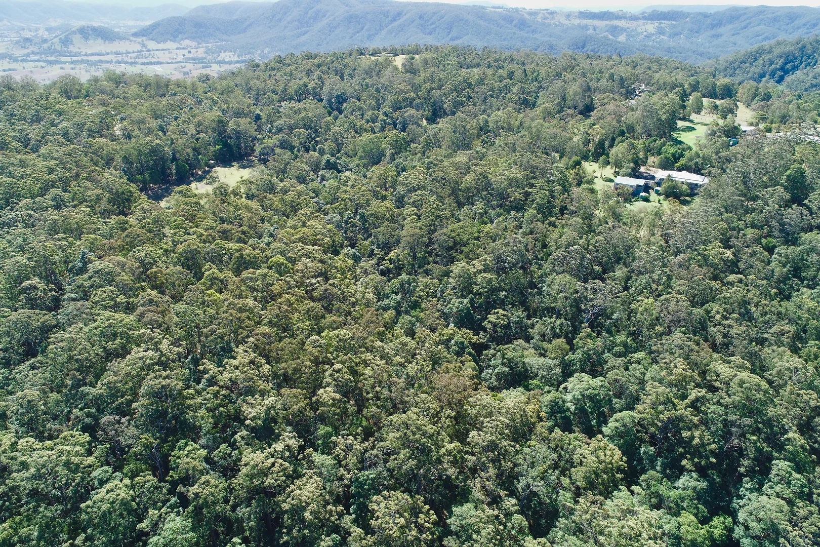 Image 35