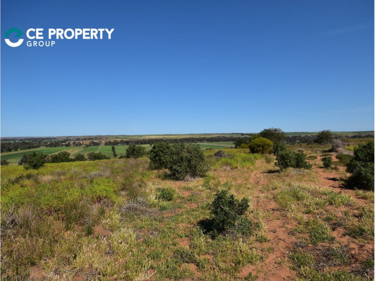 Lot 341 and 346 Rundle Road, Ponde SA 5238, Image 0