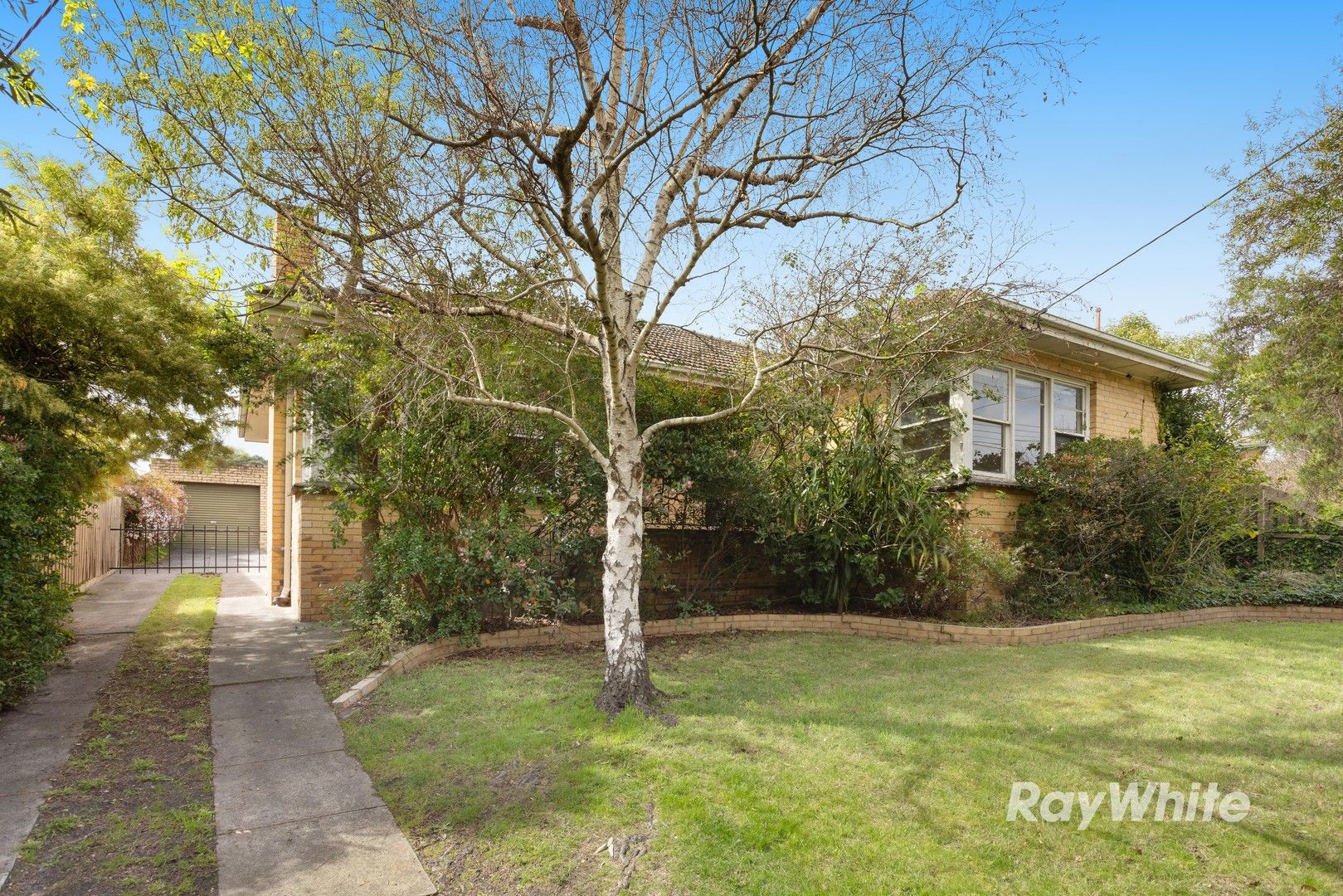20 The Rialto, Malvern East VIC 3145 House For Rent 500 Domain