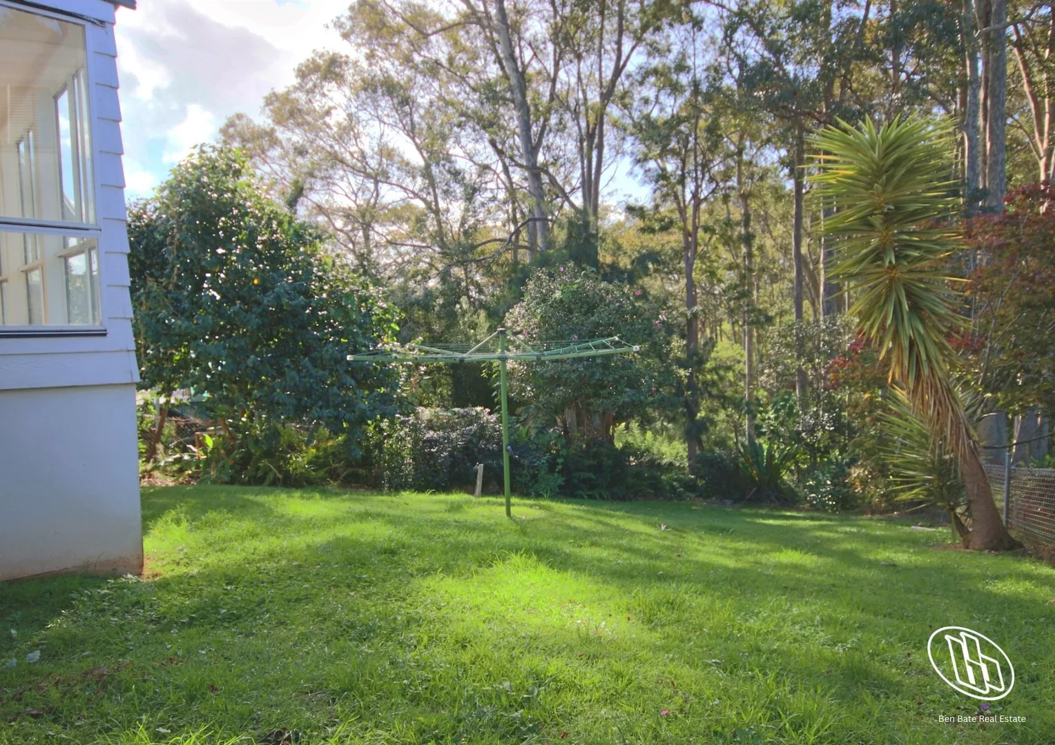 Image 12