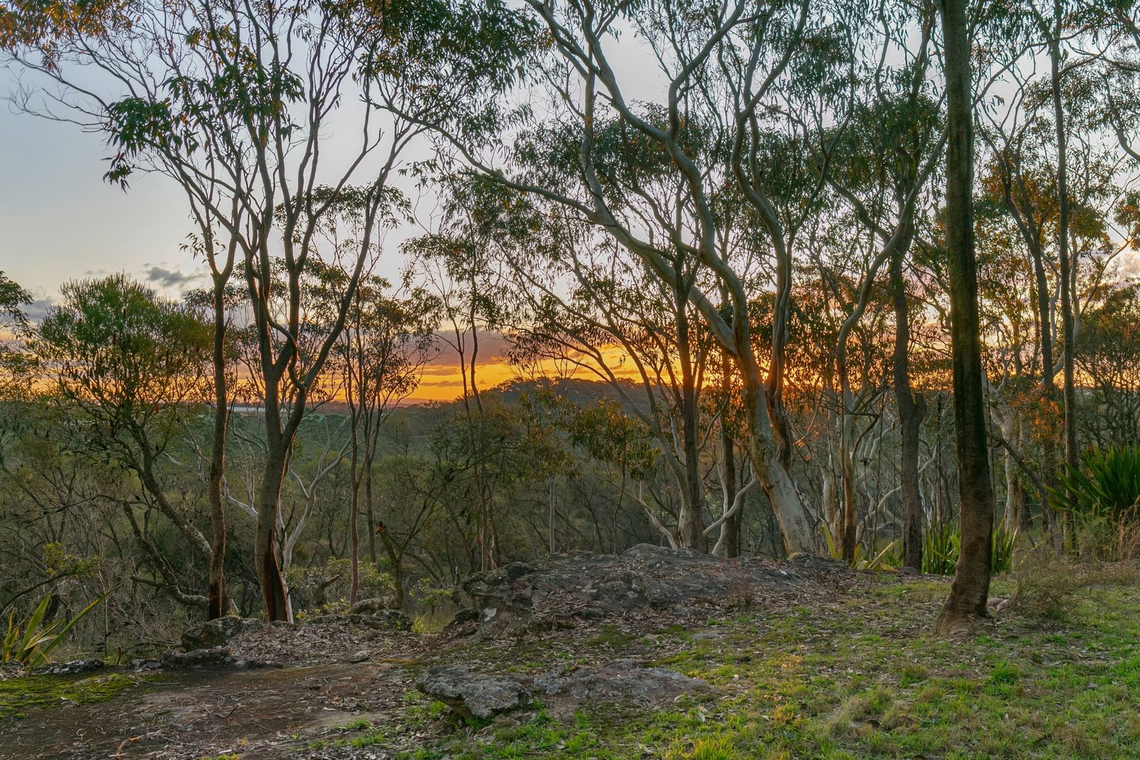Sold 59 Baines Road, Mangrove Mountain NSW 2250 on 29 May 2023