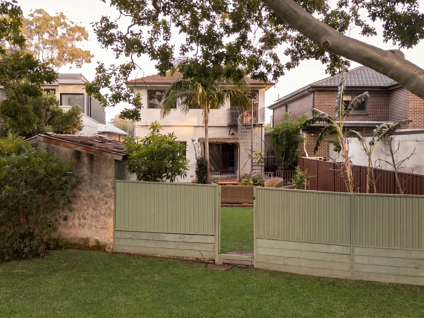Image 12