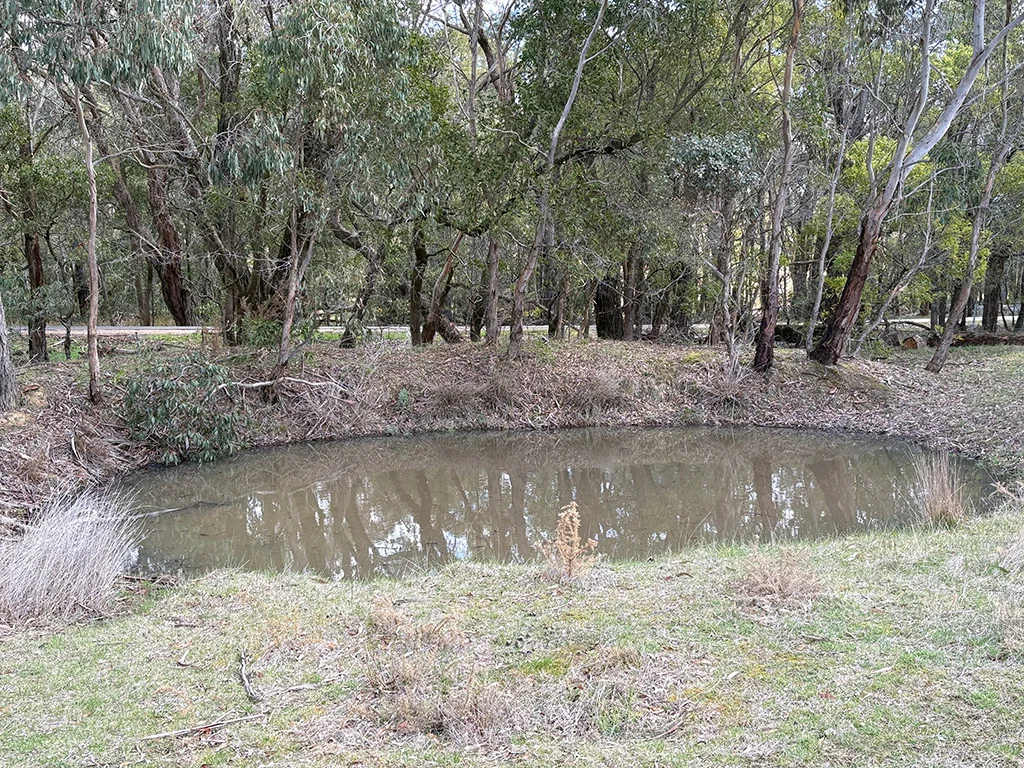 Image 10