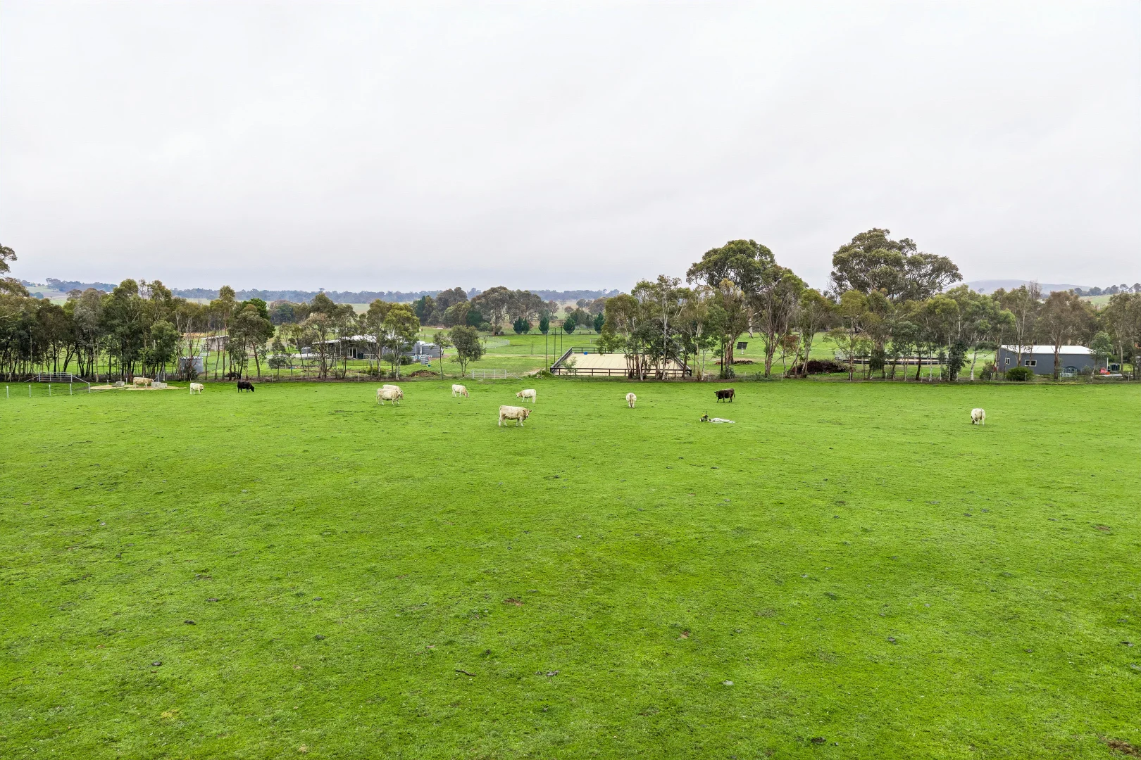 Image 39