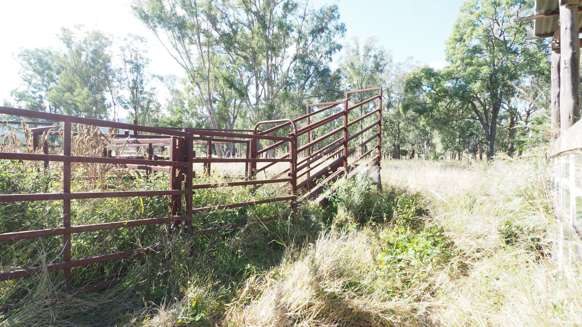 4351 Cobbadah Road, Bingara NSW 2404, Image 1