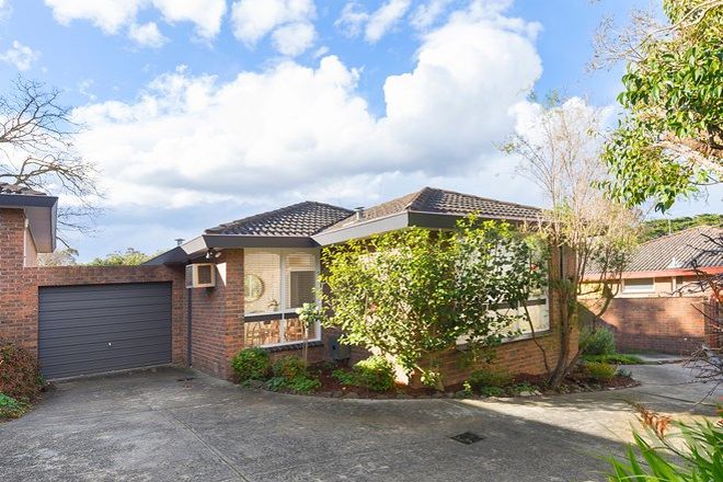 Picture of 3/70 Essex Road, SURREY HILLS VIC 3127