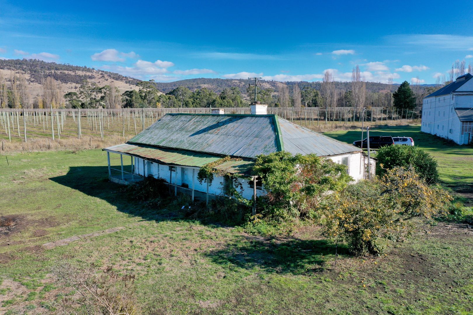 1697 Glenora Road, Bushy Park TAS 7140, Image 2