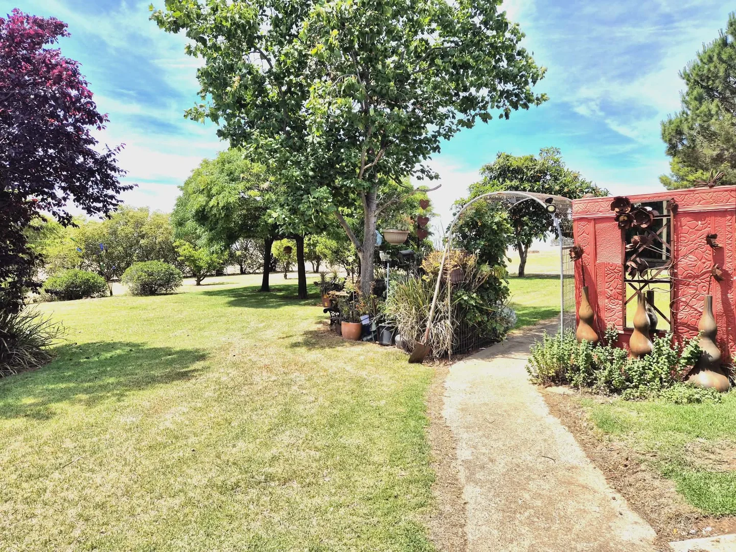 Image 15