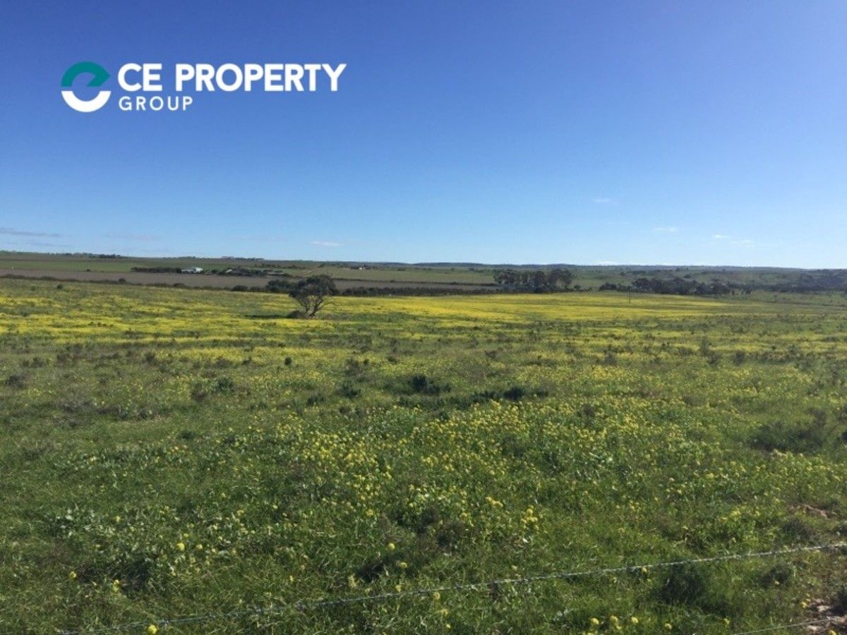 Lot 57 Caloote Road, Caloote SA 5254, Image 0