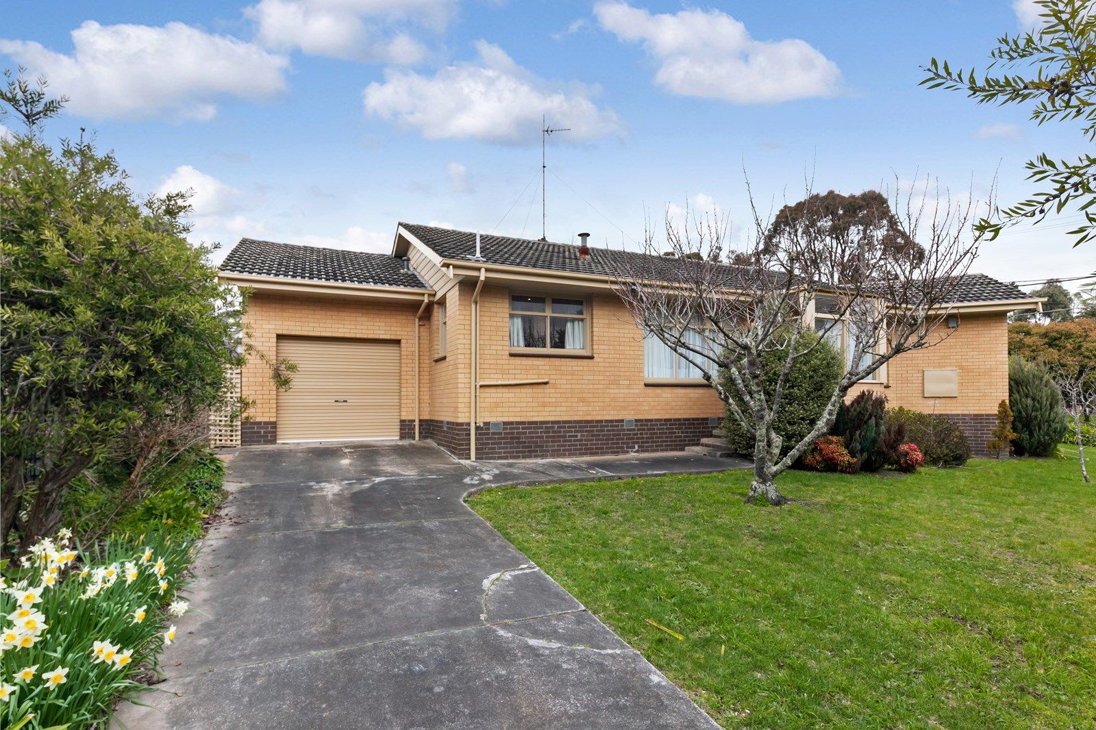 5 Shire Avenue, Mount Helen VIC 3350, Image 1