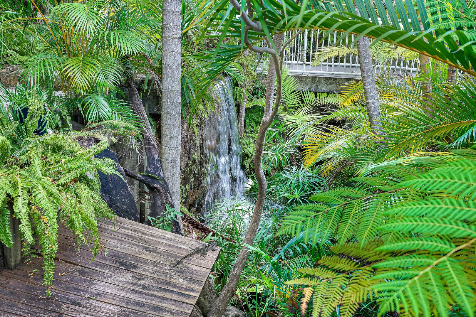 Additional image 19 of 39/24 Hamilton Avenue, Surfers Paradise QLD 4217