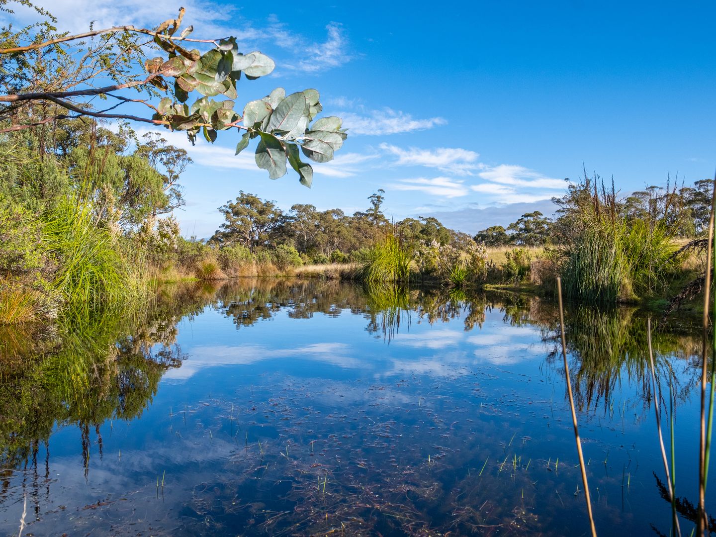 2 Wills Road, Abels Bay TAS 7112, Image 2