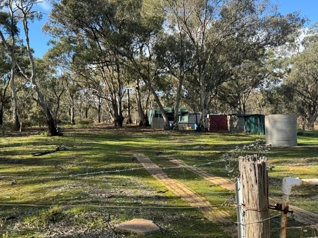 Image 12