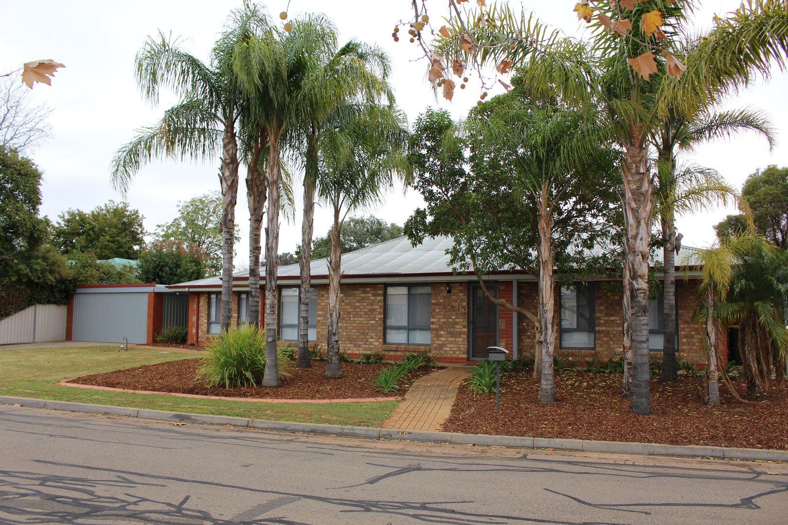 16 Pevensey Grove, Mildura VIC 3500 House For Rent Domain