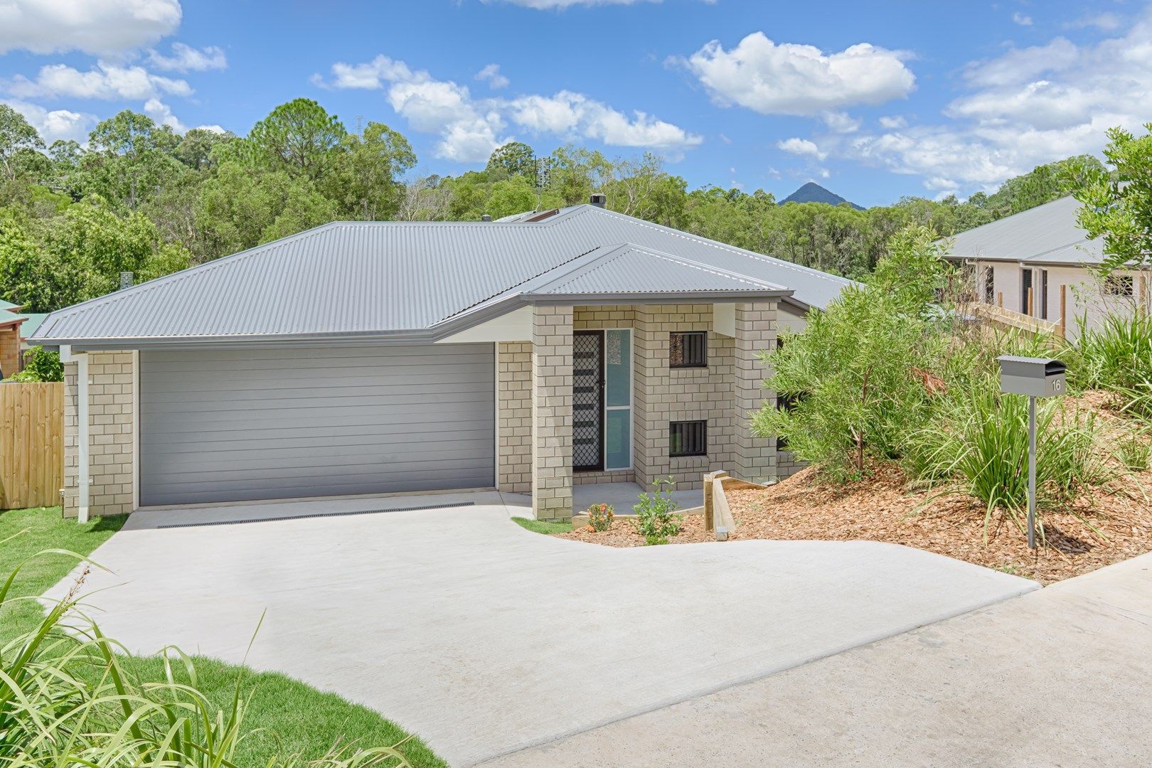 16 Norton Court, Cooroy QLD 4563 House For Rent 750 Domain