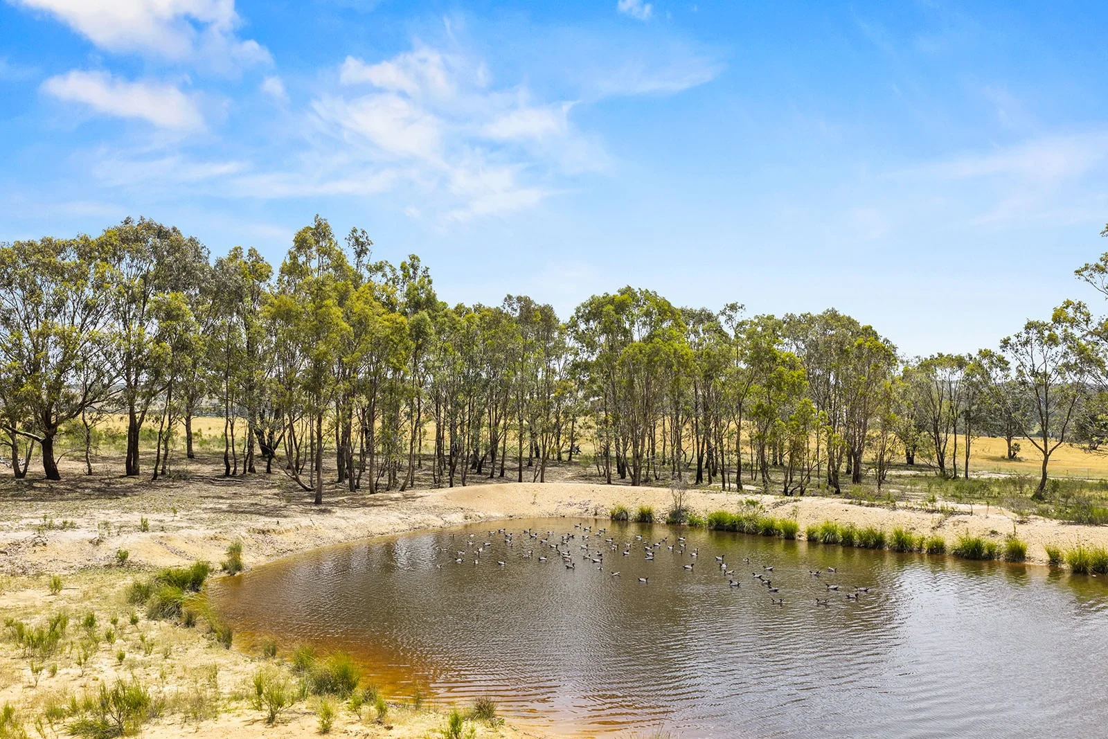 Additional image 13 of Yass NSW 2582