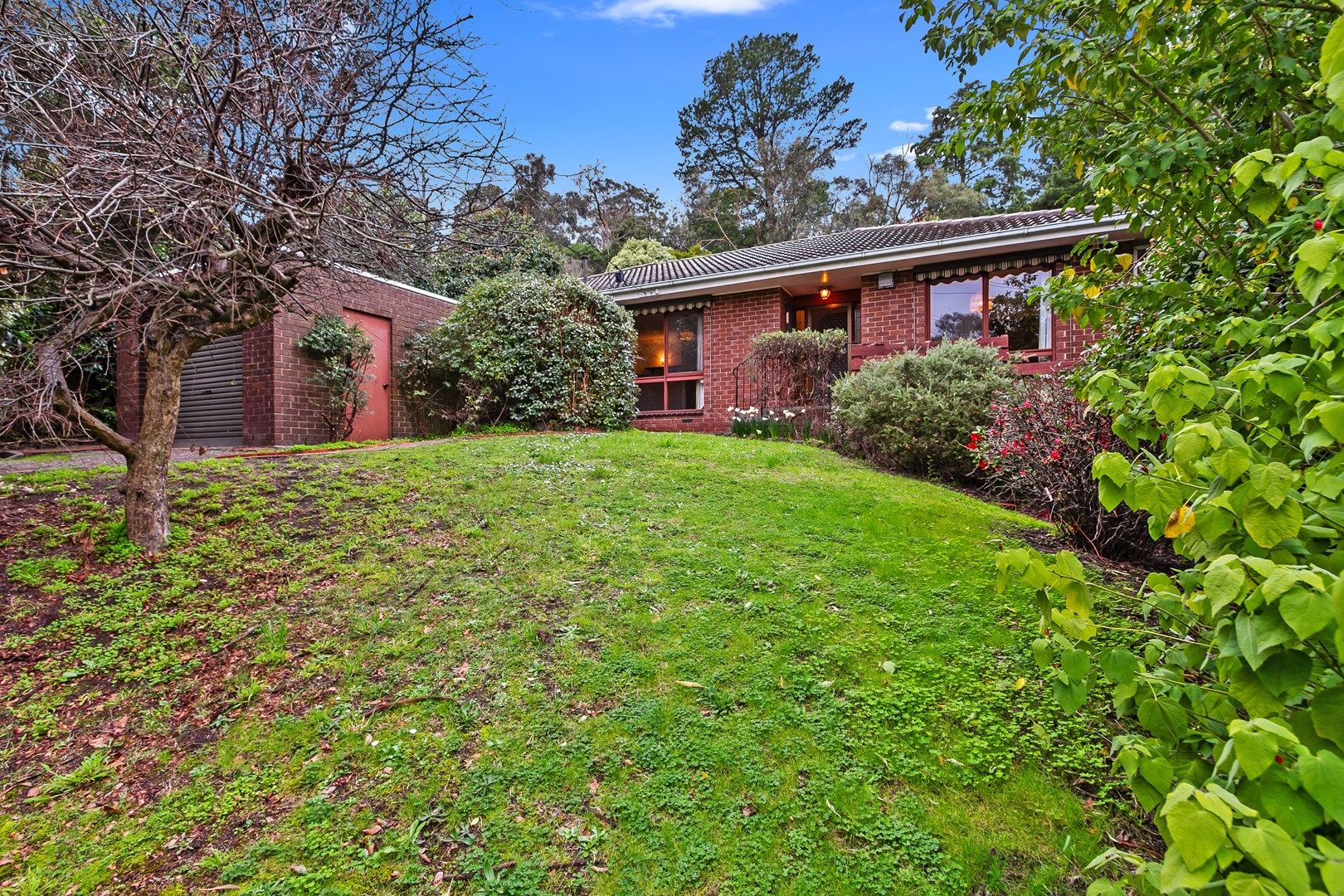 216 Forest Road, Boronia VIC 3155, Image 0