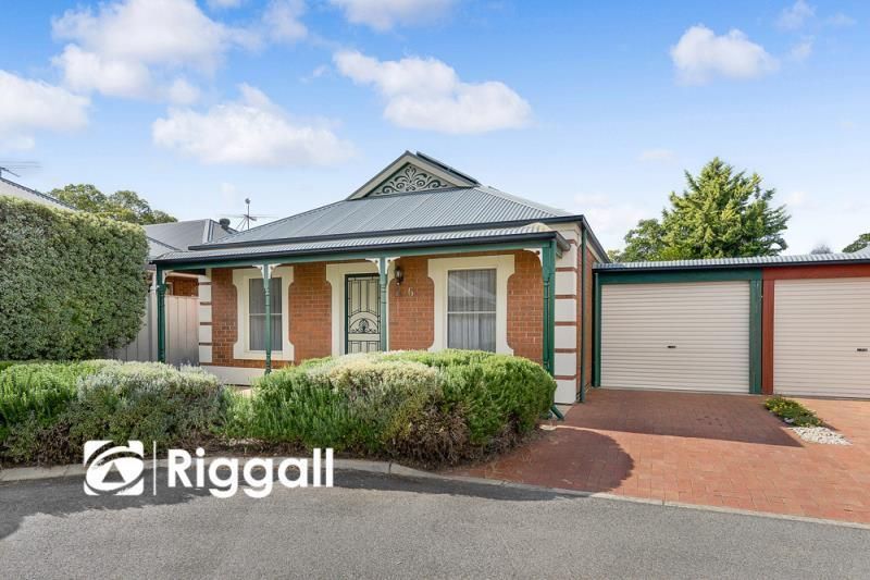 6 Edwin Court Northgat Property History Address Research Domain