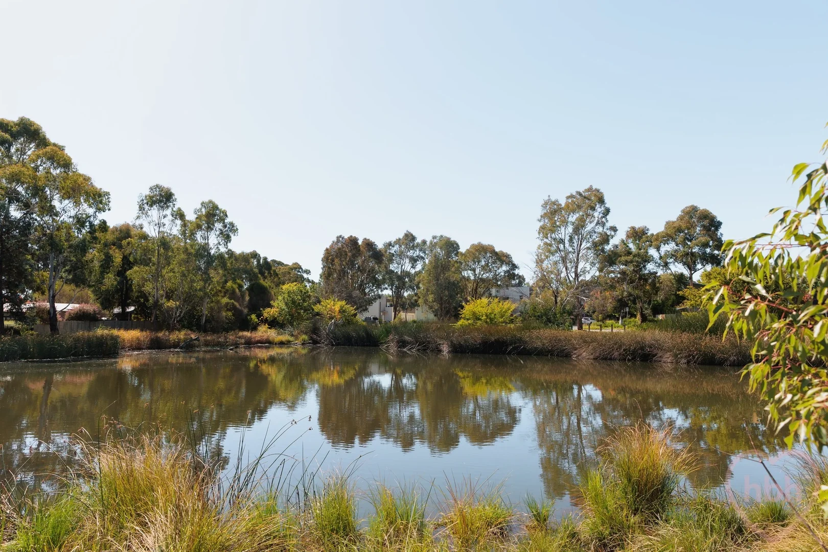 Image 15